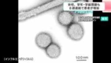 猛威を振るうインフルエンザの変異株「サブクレードK」　今年の傾向と対策は？