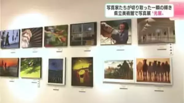 一瞬の輝きを「ハラハラしながら撮った」　６０回目を迎える「光展」　高知県立美術館