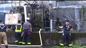 早朝にビニールハウスの一部を焼く火事　けが人なし　警察「漏電によるものかとの報告受けている」【高知】