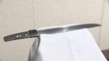 最強の武器は「心の持ちよう」？ 薩長同盟160年に幕末の武芸者展　殺伐とした時代に記された“向上心の漢詩”と美しい日本刀の共演【高知】