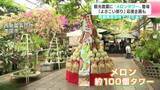 「“よさこいメロンタワー”で祭りのパワーを感じて　観光農園にメロンタワー登場『よさこい祭り』応援企画も」の画像1