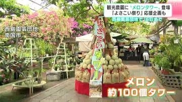 “よさこいメロンタワー”で祭りのパワーを感じて　観光農園にメロンタワー登場『よさこい祭り』応援企画も