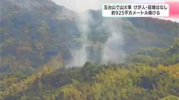 五台山で山火事　けが人・延焼はなし　約925平方メートル焼ける