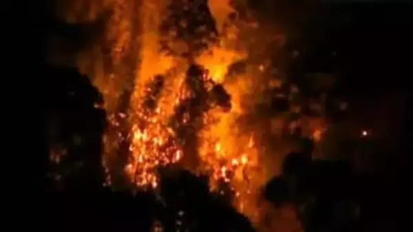 発生から10時間以上の山火事、依然「鎮圧・延焼の繰り返し」⋯延焼の要因は「風の影響」、消防は約100人体制で消火活動（31日0:00時点）高知・土佐市