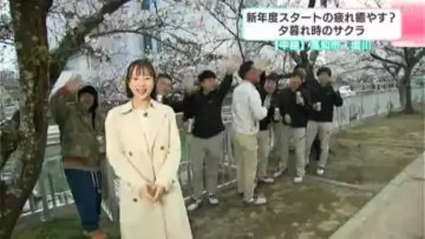 【中継】新年度スタートの疲れを癒す？夕暮れ時のサクラ　高知市・堀川