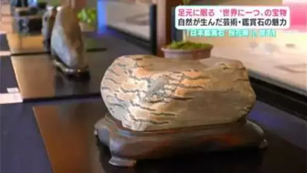 足元に眠る“世界に一つ”の宝物　自然が産んだ芸術・鑑賞石の魅力　高知は実は全国的に有名な産地だった
