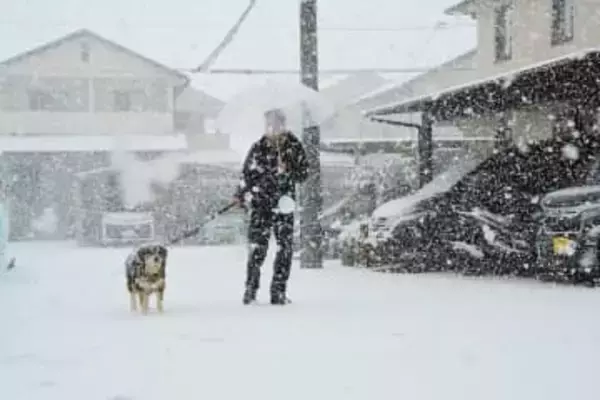 京都市、激しい雪で一気に銀世界に　今冬初の積雪4センチ