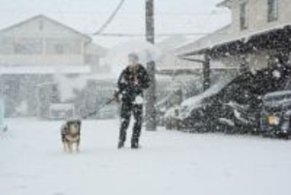 京都市、激しい雪で一気に銀世界に　今冬初の積雪4センチ