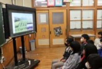 京都と岡山の小学生がオンライン交流　テーマは「黒豆」、先生同士が同級生で実現