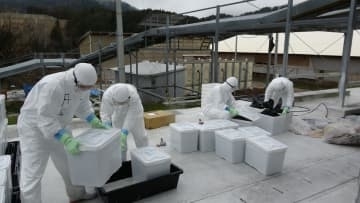 鳥インフル確認の京都府亀岡市の養鶏場、28万羽の殺処分終了