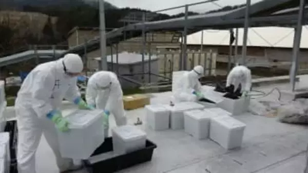 鳥インフル確認の京都府亀岡市の養鶏場、28万羽の殺処分終了