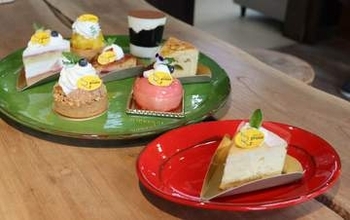 ヒルトン大阪で11年働いたパティシエがUターン　「赤い屋根」の洋菓子店のおすすめは