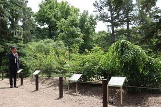 「御室有明」「太閤しだれ」「紅和魂梅」　歴史的・科学的にも貴重な樹木の「クローン化」に成功