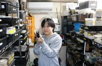 「1000匹いても1匹が死ぬと、悲しい」自宅でカブト・クワガタ飼育する19歳男性が子ども向け講座