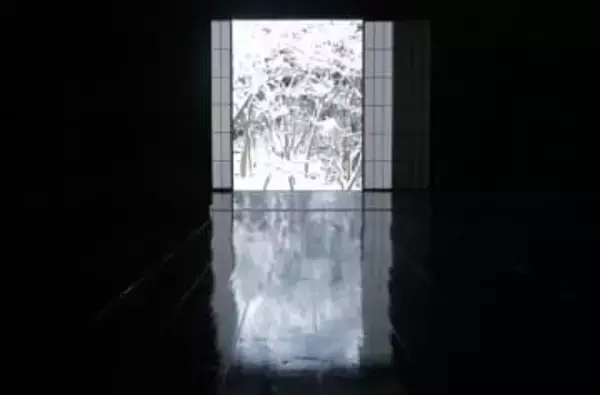 【速報】闇にきらめく「床の銀世界」　大雪の京都市、「床みどり」で知られる実相院