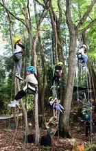 「みどりの日」に新緑の公園を満喫　ロープで木登り、路上にお絵描きも　大津市で催し