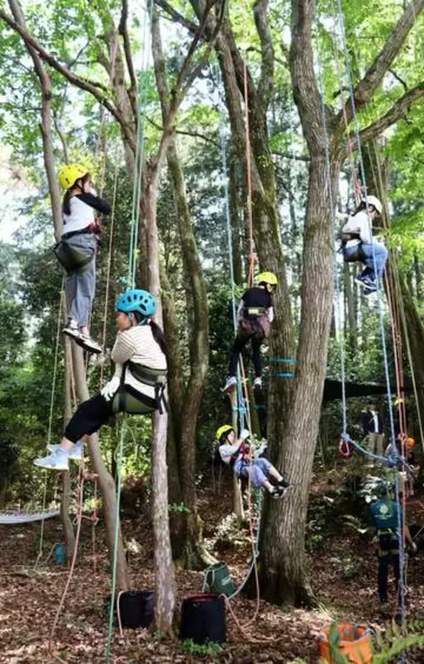 「みどりの日」に新緑の公園を満喫　ロープで木登り、路上にお絵描きも　大津市で催し