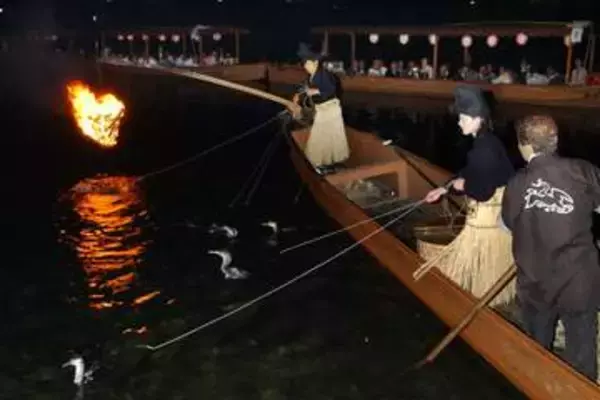 京都府宇治市の「宇治川の鵜飼」に新しい風　再興100周年　女性鵜匠、人工ふ化、放ち鵜飼