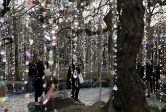 蜷川実花さん、芸術家やダンサーとタッグ組みアート空間　日本の美と文化を世界へ発信