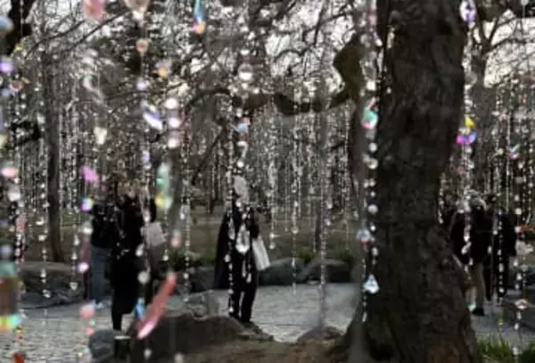 蜷川実花さん、芸術家やダンサーとタッグ組みアート空間　日本の美と文化を世界へ発信