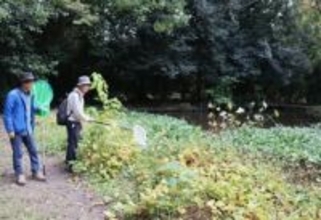 京都の名所にある非公開の池で50年ぶり「珍種」発見　きっかけはある異変「よくよく目を凝らせば」