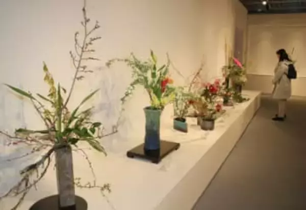 「全体が明るくなるように」信楽焼の器でいけばな展　滋賀県南部で趣向を凝らし、華やかに彩り