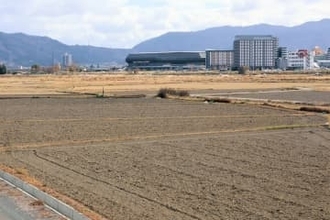 元スタジアム予定地に「国特別記念物」の人工巣塔設置へ　生息場所として「誘鳥」その可能性は？