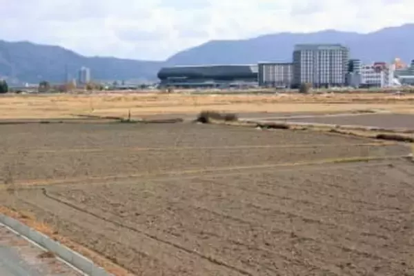 元スタジアム予定地に「国特別記念物」の人工巣塔設置へ　生息場所として「誘鳥」その可能性は？