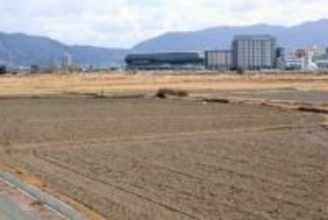 元スタジアム予定地に「国特別記念物」の人工巣塔設置へ　生息場所として「誘鳥」その可能性は？