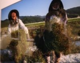 写真家・今森光彦さんが約40年間「里山」を撮影し続ける理由とは