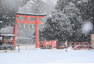 京都・上賀茂神社は銀世界　京都府、積雪150センチ超えた地域も　警報級大雪の恐れ続く