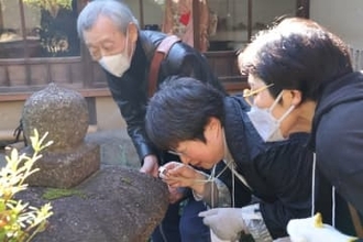 抹茶とお菓子でゆったりと　茶庭手入れしながら、生物多様性学ぶ催し　京都