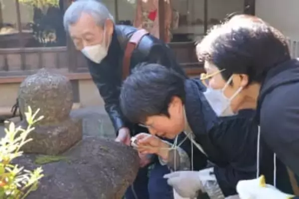 抹茶とお菓子でゆったりと　茶庭手入れしながら、生物多様性学ぶ催し　京都