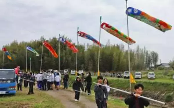 子どもらが絵付けした「鯉のぼり」元気に空を泳ぐ「工夫凝らした作品、ぜひ見に来て」大津・真野