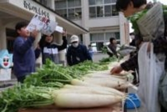 滋賀の小学生、自分たちで育てたダイコン販売　売り上げを大分・佐賀関の火災被災地へ寄付