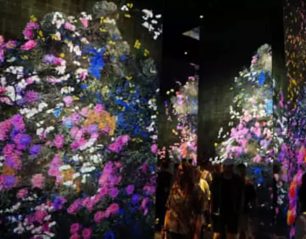 「チームラボ」京都の常設ミュージアム、来館者50万人目のカップル「たくさん写真撮った」