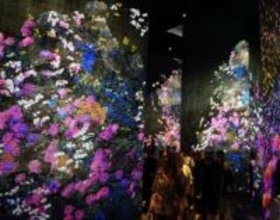 「チームラボ」京都の常設ミュージアム、来館者50万人目のカップル「たくさん写真撮った」