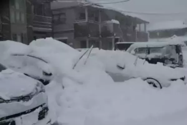 京都・舞鶴で倒木、府道が一時通行止め　NTT電話線に引っ掛かる
