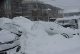 【速報】京都・舞鶴で倒木、府道が通行止め　NTT電話線に引っ掛かる