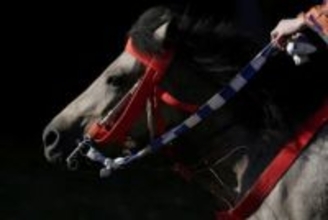 30年間で半減…日本の「在来馬」とはどんな馬なのか　サラブレッドと異なる特徴、滋賀には珍しい牧場が