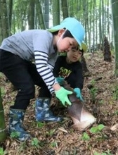 「よいしょ」タケノコ掘り　京都府京丹波町で園児ら収穫