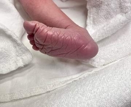 「育休を取ってよかった」36歳パパ　生後1カ月の娘と過ごして知ったこと　「机の上の水筒すら取るのがしんどい」