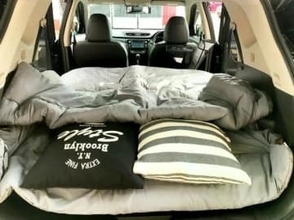 【厳選】車中泊におすすめの15車種　車選びのポイント、グッズ、ルールについても解説