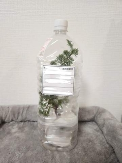 「こんにちはー……えっ、ええぇ！？」郵便屋さんが苦笑いしながら渡した“ペットボトル荷物”に「なんじゃこりゃ」「これで届くんだ！」