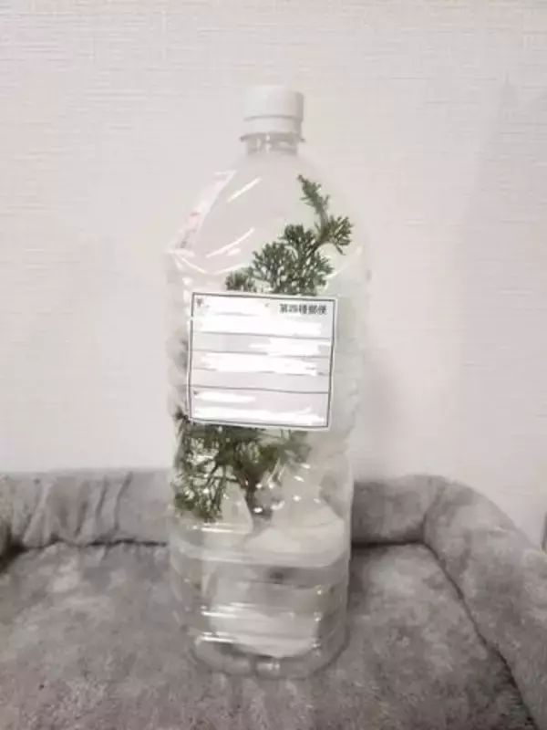 「こんにちはー……えっ、ええぇ！？」郵便屋さんが苦笑いしながら渡した“ペットボトル荷物”に「なんじゃこりゃ」「これで届くんだ！」