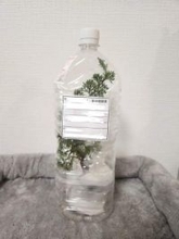 「こんにちはー……えっ、ええぇ！？」郵便屋さんが苦笑いしながら渡した“ペットボトル荷物”に「なんじゃこりゃ」「これで届くんだ！」