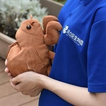 セミの羽化をリアルに再現　東京・足立区生物園のぬいぐるみ、入荷即完売の大ヒットの理由は？【足立区生物園担当者に取材】