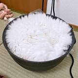 「冬のねこ鍋、ここまで来たか… 「猫、炊けちゃった？」白米ごはんのような姿に8.6万いいね　「もふもふごはん」「ほかほかで美味しそう！」」の画像1