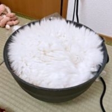 冬のねこ鍋、ここまで来たか… 「猫、炊けちゃった？」白米ごはんのような姿に8.6万いいね　「もふもふごはん」「ほかほかで美味しそう！」