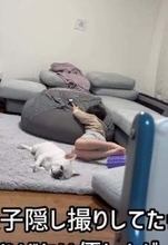 テレビを見る愛犬と7歳息子を隠し撮りしていたら…さりげない息子の優しさに「ええ子や～♡」「最高の相棒だね」